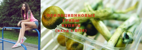 PSILOCYBIN Волоколамск