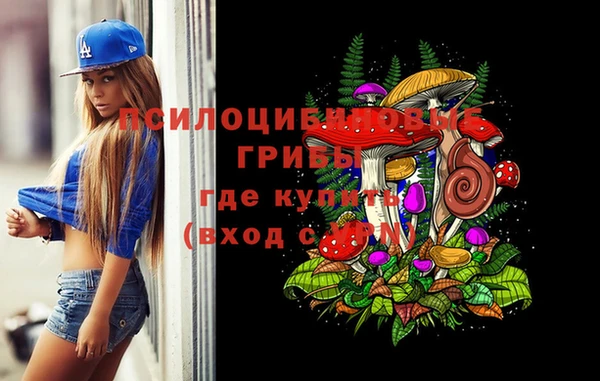 гашиш Вяземский