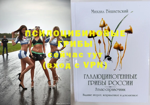 PSILOCYBIN Волоколамск