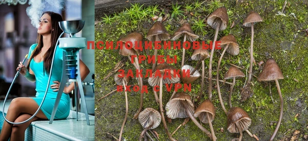 PSILOCYBIN Волоколамск
