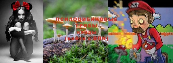PSILOCYBIN Волоколамск