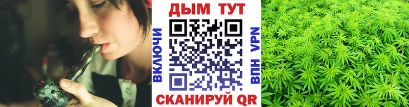где продают наркотики  Ногинск  МАРИХУАНА конопля 